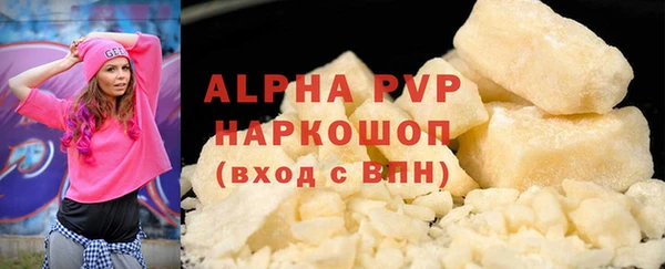прущие грибы Заволжье