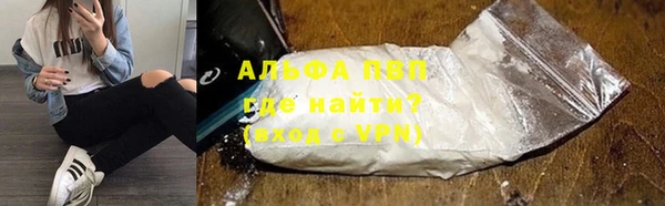 прущие грибы Заволжье