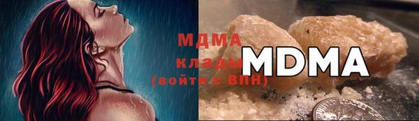 прущие грибы Заволжье
