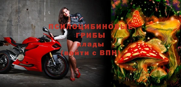 прущие грибы Заволжье