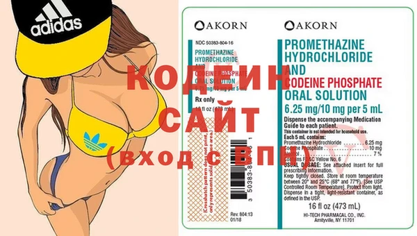 прущие грибы Заволжье