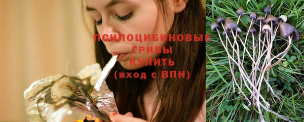 прущие грибы Заволжье