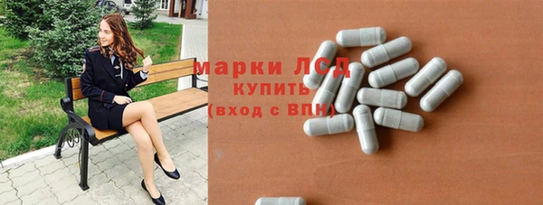 прущие грибы Заволжье