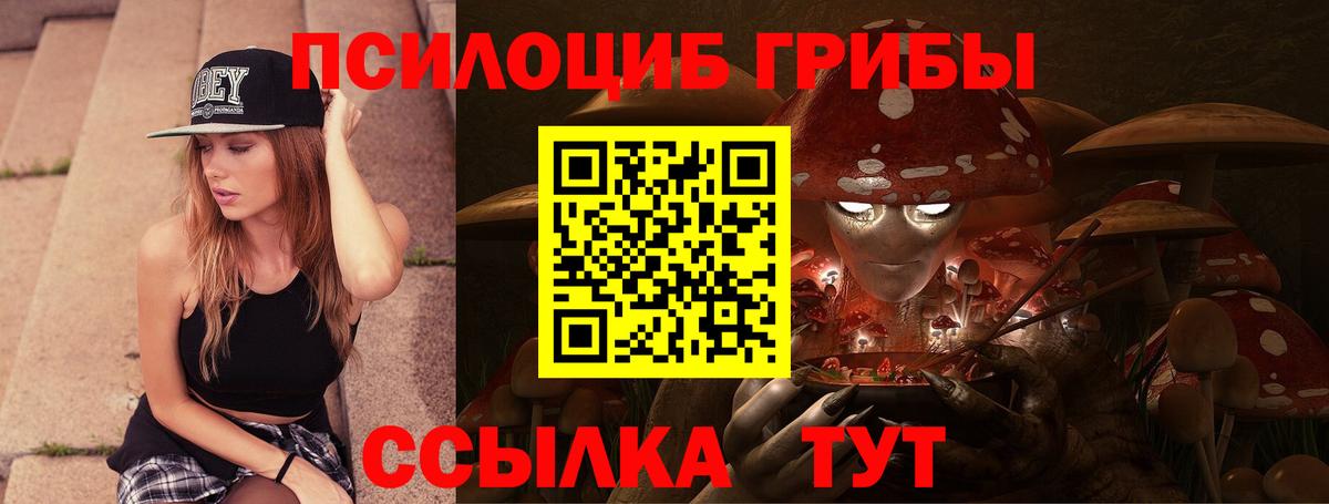Псилоцибиновые грибы мухоморы Каменск-Шахтинский